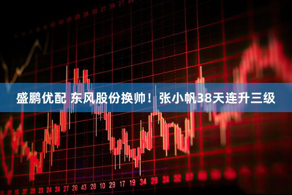 盛鹏优配 东风股份换帅！张小帆38天连升三级