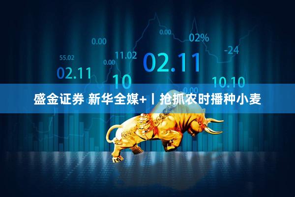 盛金证券 新华全媒+丨抢抓农时播种小麦