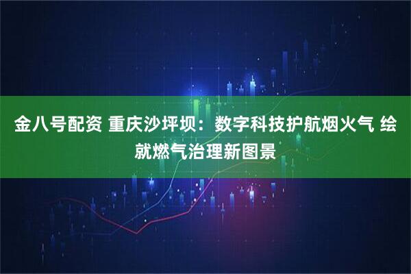 金八号配资 重庆沙坪坝：数字科技护航烟火气 绘就燃气治理新图景