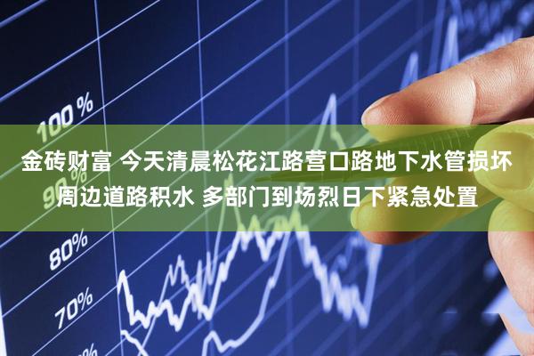 金砖财富 今天清晨松花江路营口路地下水管损坏周边道路积水 多部门到场烈日下紧急处置