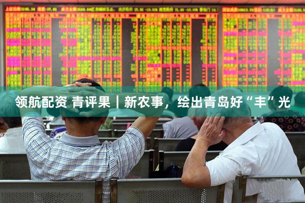 领航配资 青评果｜新农事，绘出青岛好“丰”光