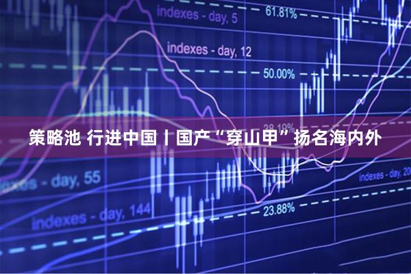策略池 行进中国丨国产“穿山甲”扬名海内外