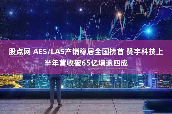 股点网 AES/LAS产销稳居全国榜首 赞宇科技上半年营收破65亿增逾四成