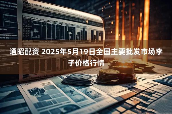 通昭配资 2025年5月19日全国主要批发市场李子价格行情