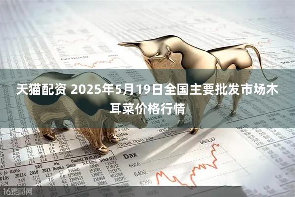 天猫配资 2025年5月19日全国主要批发市场木耳菜价格行情