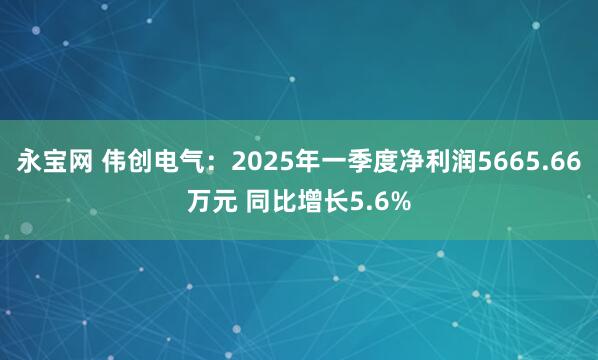 永宝网 伟创电气：2025年一季度净利润5665.66万元 同比增长5.6%