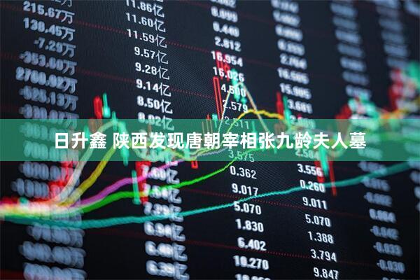 日升鑫 陕西发现唐朝宰相张九龄夫人墓