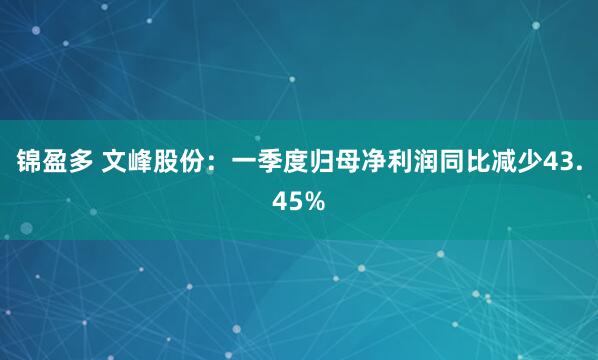 锦盈多 文峰股份：一季度归母净利润同比减少43.45%