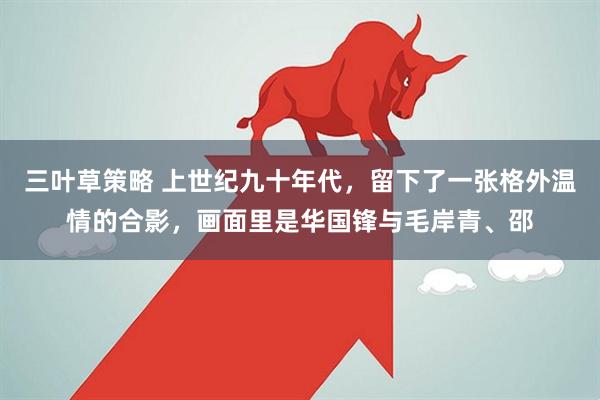 三叶草策略 上世纪九十年代，留下了一张格外温情的合影，画面里是华国锋与毛岸青、邵